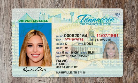 Tennessee Fake Driver License - Buy Scannable Fake ID Online - Fake ...
