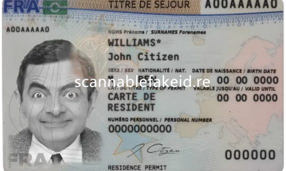 Fausse carte de séjour en France - Buy Scannable Fake Id Online - Fake ID  Website
