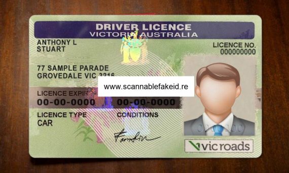 Florida Fake Driver License V1 - Buy Scannable Fake Ids Online