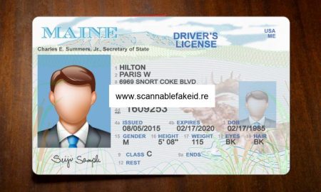 Fake ID For Roblox 2023: Where To Find Them