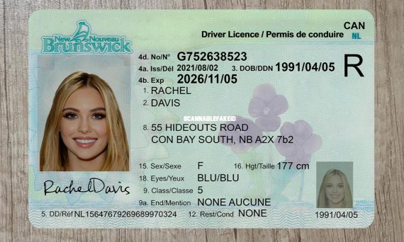 Canada New Brunswick Fake Driver License - Buy Scannable Fake ID Online ...