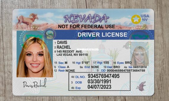 Editable Nnvada Fake Drivers License - Buy Scannable Fake ID Online ...