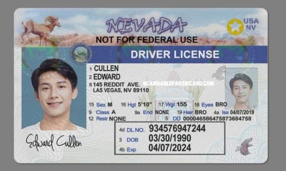 New Jersey Fake Driver License - Buy Scannable Fake Ids Online