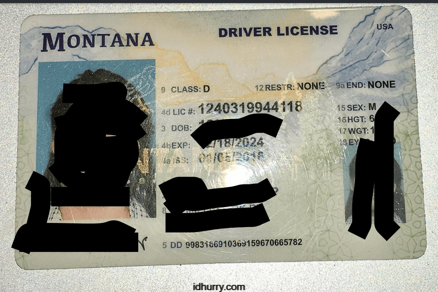 Buy Montana Scannable Fake Id