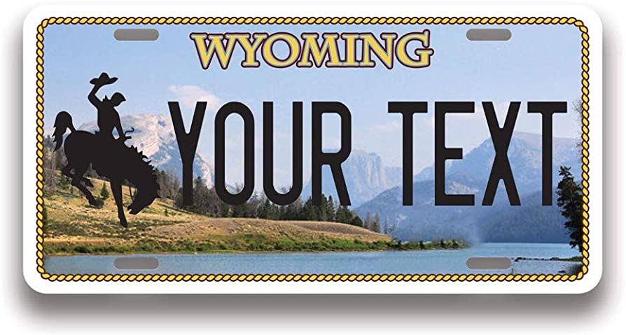 Cheap Wyoming Fake Id