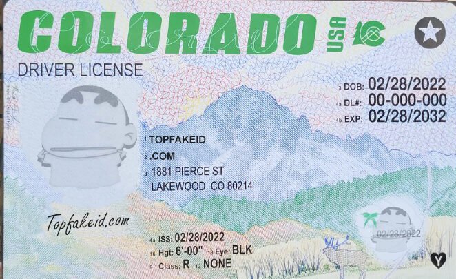 Colorado Fake Id Website