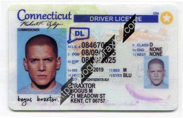 Connecticut Fake Id Maker