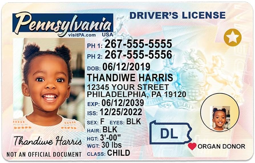 connecticut fake id review