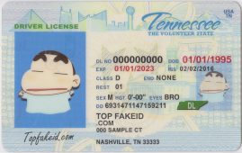 Delaware Scannable fake id