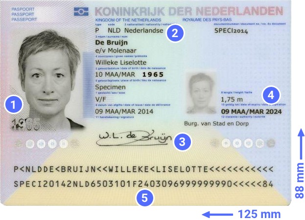 difference between real and fake id
