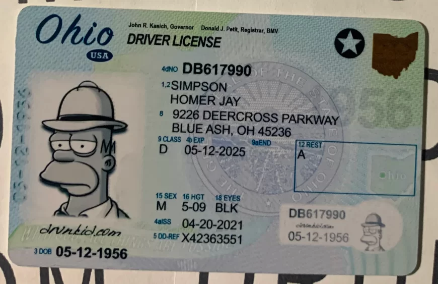 Fake Id Casino