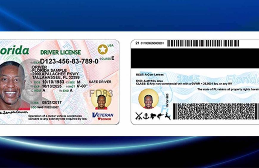 Fake Id Front And Back