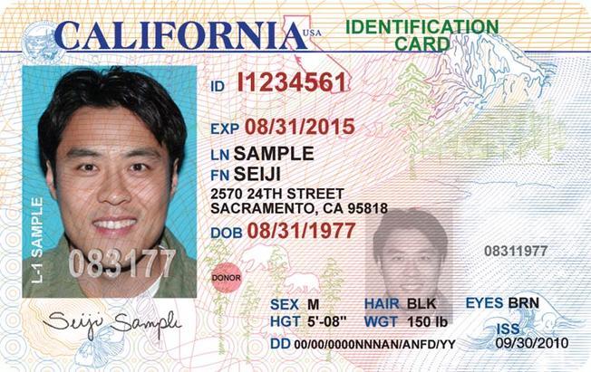 fake id identification