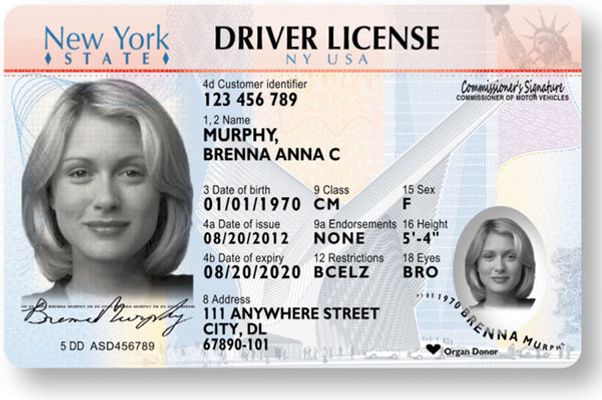 fake id in new york
