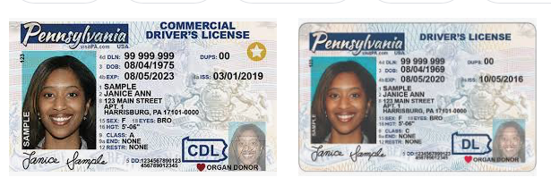 fake id in pa