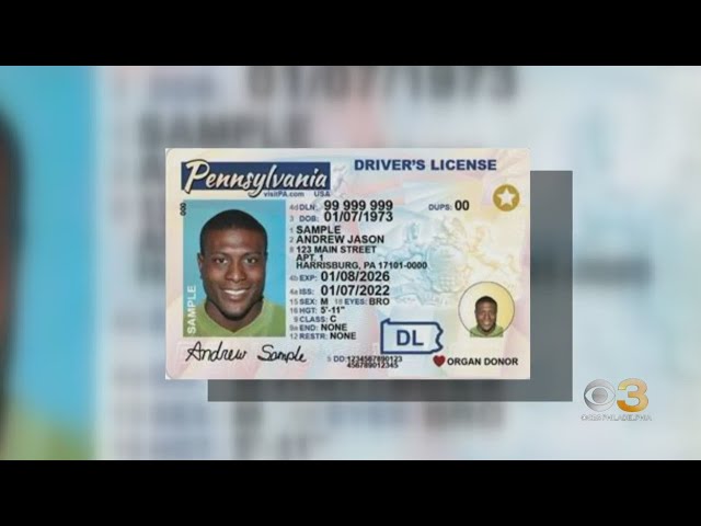 fake id in pa