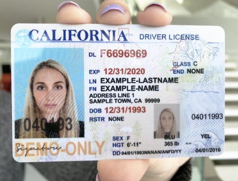 fake id license