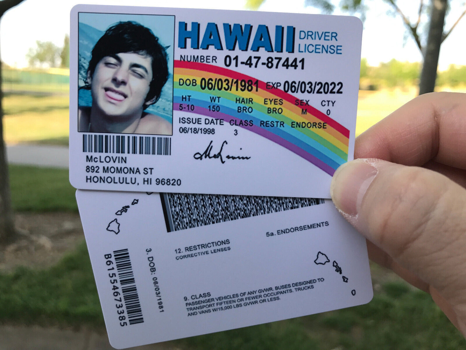 fake id roblox