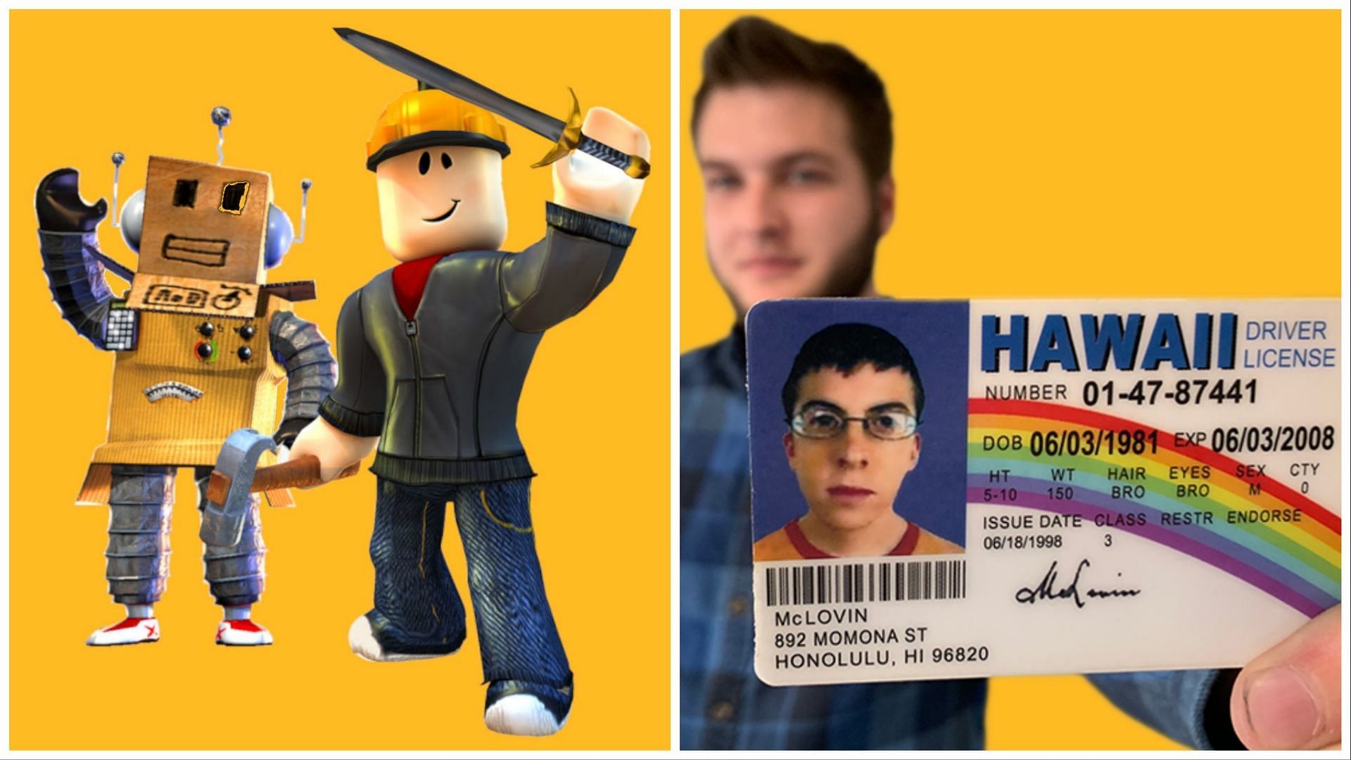 fake ids for roblox