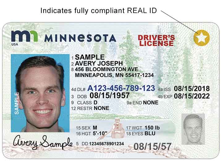 fake senior citizen id