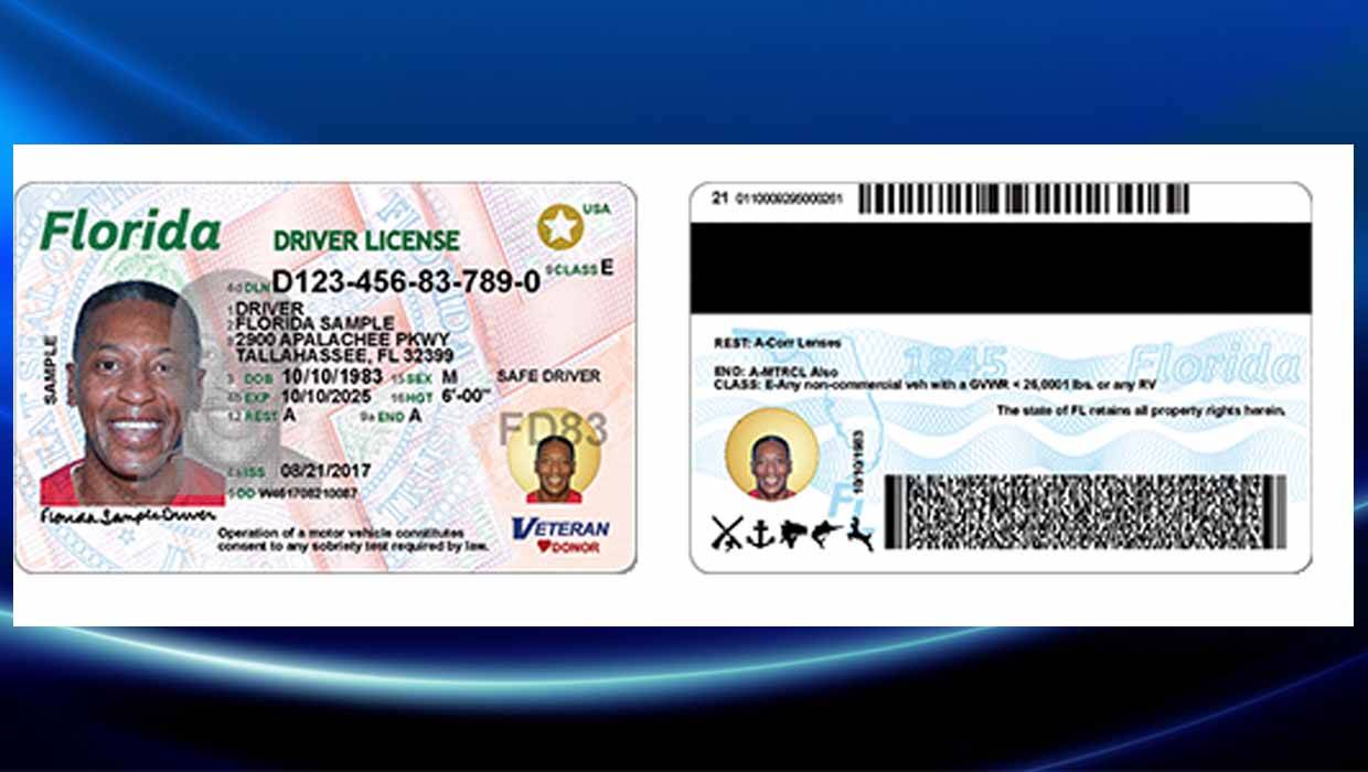 fake state id card