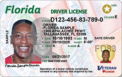 Florida Fake Id Charges