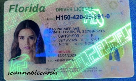 Florida Scannable Fake Id Front And Back