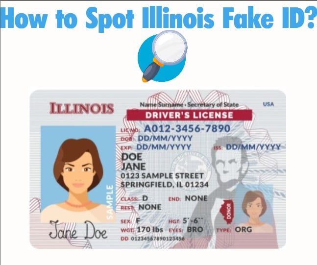 How Much Is A South Dakota Scannable Fake Id