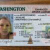 How Much Is A Washington Fake Id