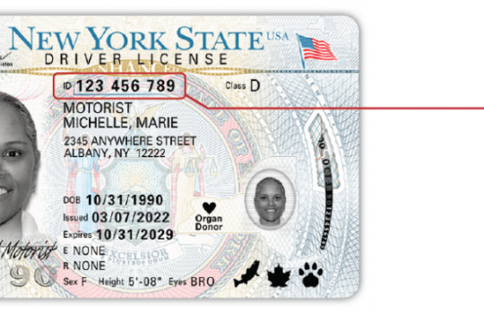 How To Get A New Hampshire Scannable Fake Id - Best Scannable Fake Id ...