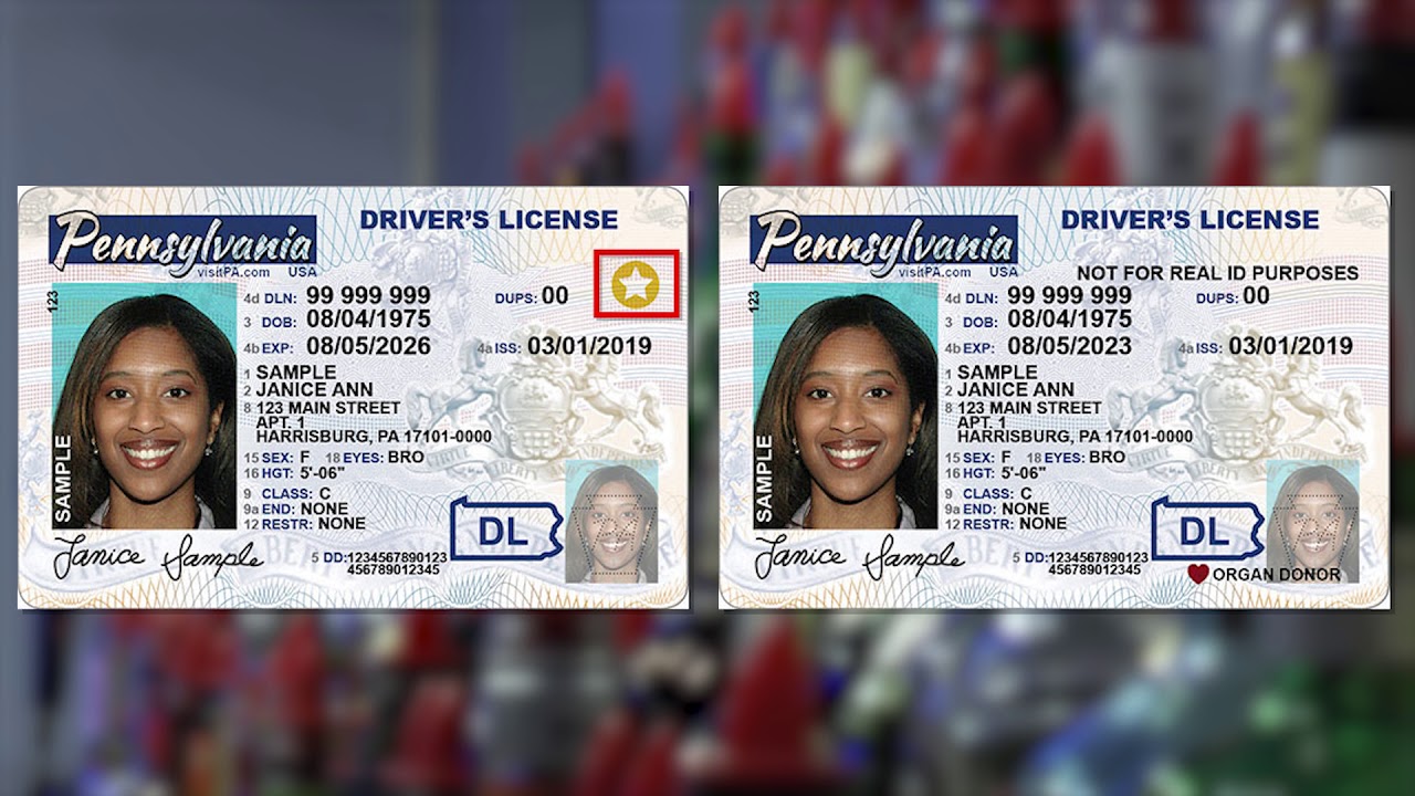 how to spot fake ids