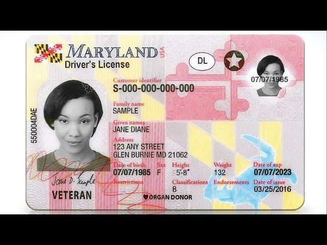 how to tell if a maryland id is fake