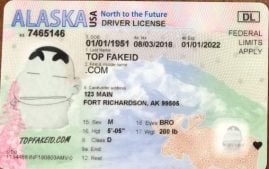 Idaho Fake Id Charges