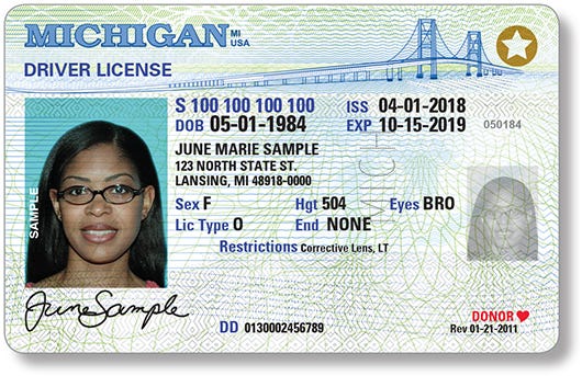 idinstate fake id