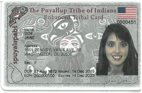 idinstate fake id