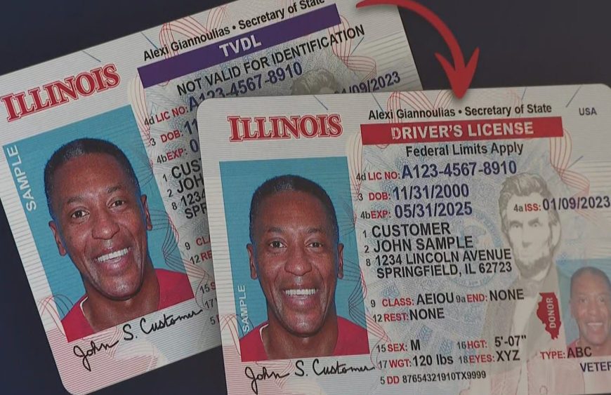 Illinois Fake Id Template