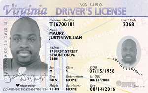 Oldironside Fake Ids