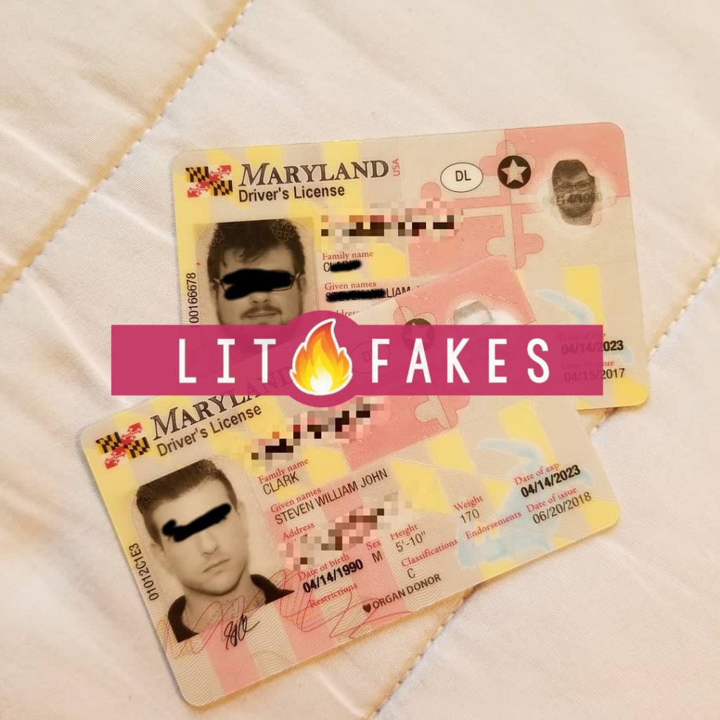 Order Maryland Fake Id