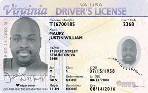 pic of fake id