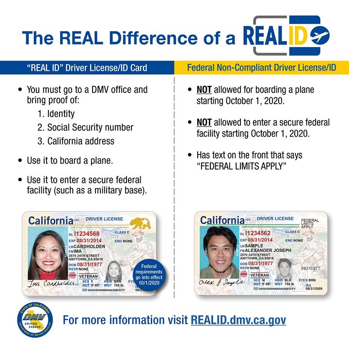 real vs fake id